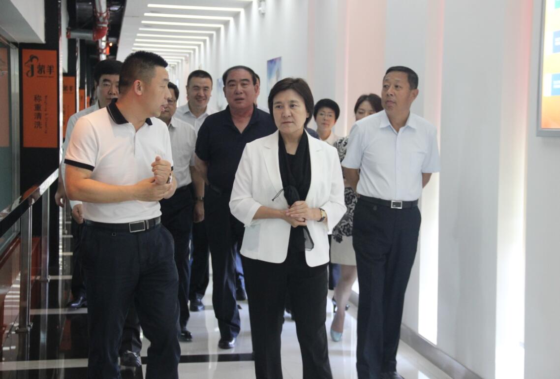 自治區(qū)黨委副書記、自治區(qū)主席布小林蒞臨協(xié)會會長單位——蒙羊牧業(yè)公司視察調研