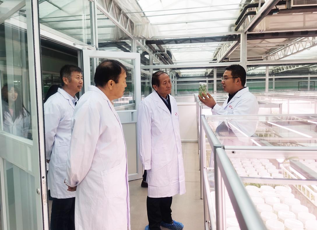 自治區(qū)級(jí)龍頭企業(yè)審核工作進(jìn)行時(shí)