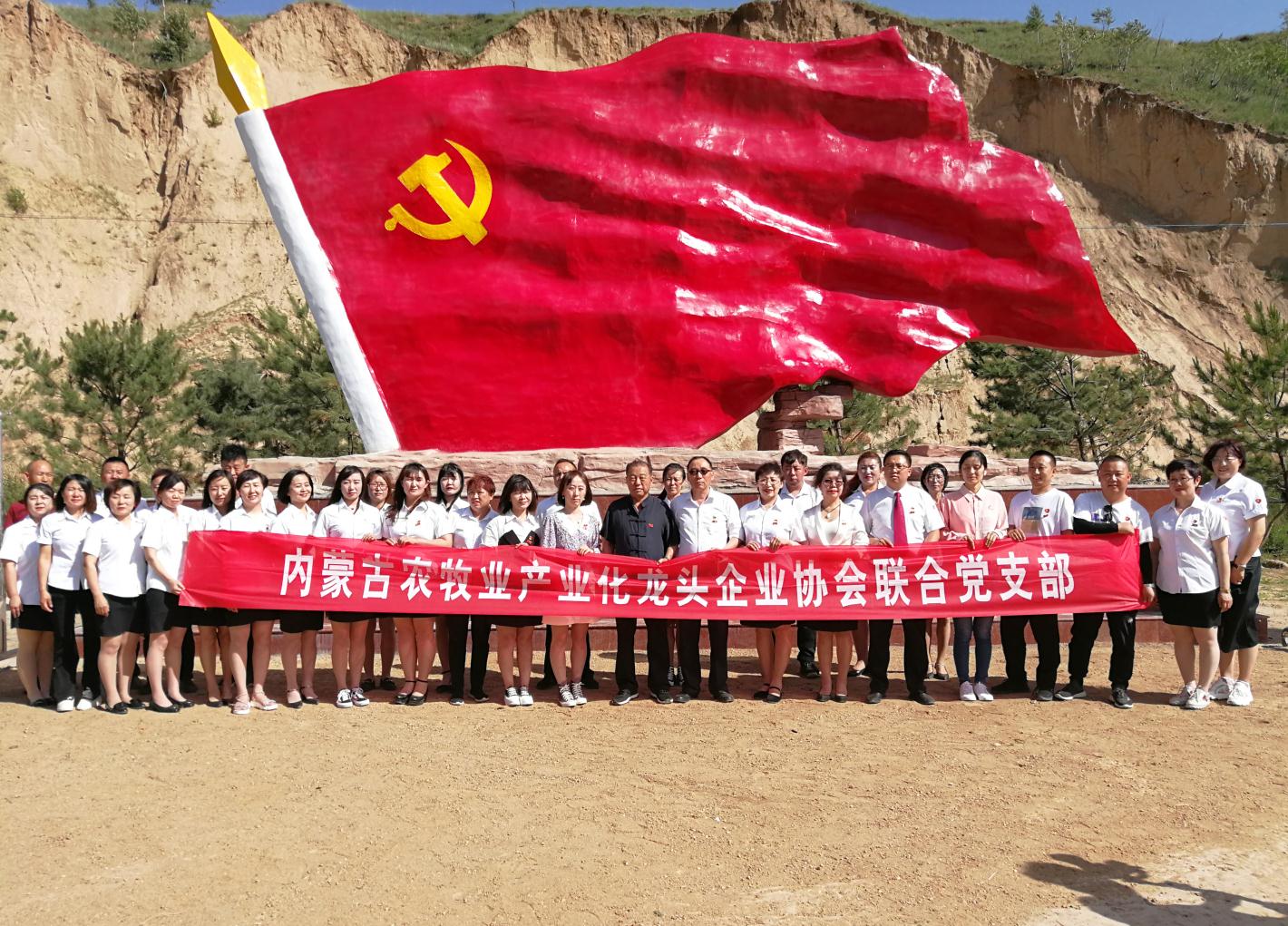 內(nèi)蒙古農(nóng)牧業(yè)產(chǎn)業(yè)化龍頭企業(yè)協(xié)會走進石人灣村開展“辦實事、解難題，送溫暖，傳黨恩”公益活動